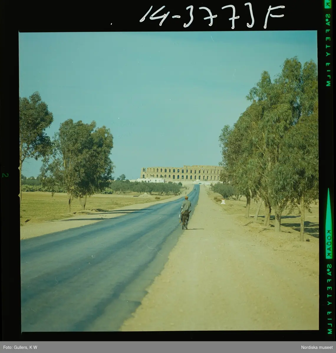 2791 Tunisien. Väg fram till amfiteatern i El Djem. En man ridandes på åsna färdas på vägen.