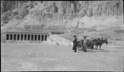 Bertha Meyer foran Farao Hatshepsuts tempel i Kongenes Dal, 