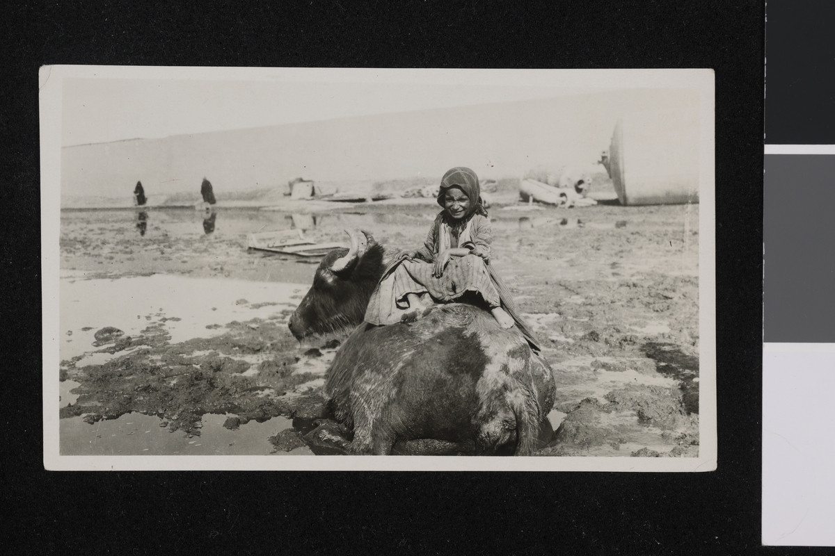 Jente med bøffel. Fotografi tatt/ samlet i forbindelse med Elisabeth Meyers bok; En Kvinnes Ferd til Persia.