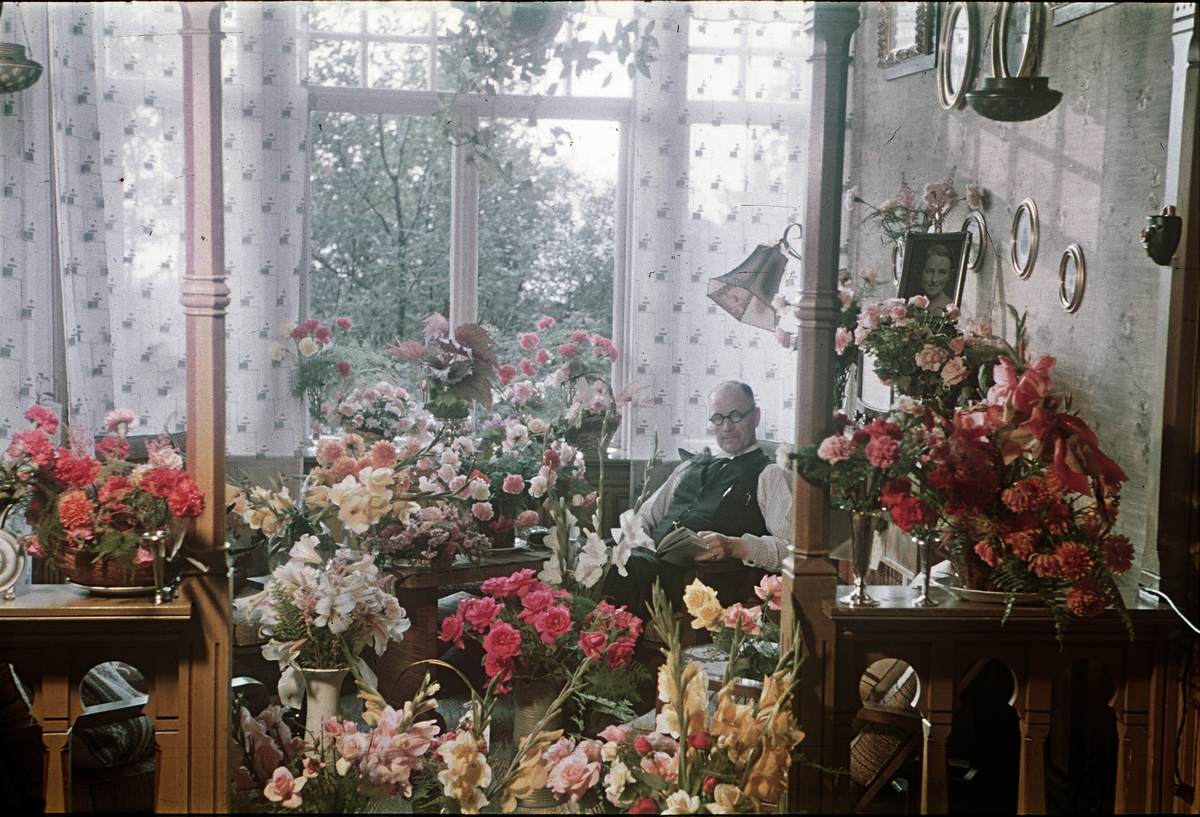 Fotograf Alf Schrøder fotografert på sin 70-års dag, omgitt av blomster. Alf Schrøder er fotografert sammen med en liten fugl som sitter på hånden eller skulderen hans.