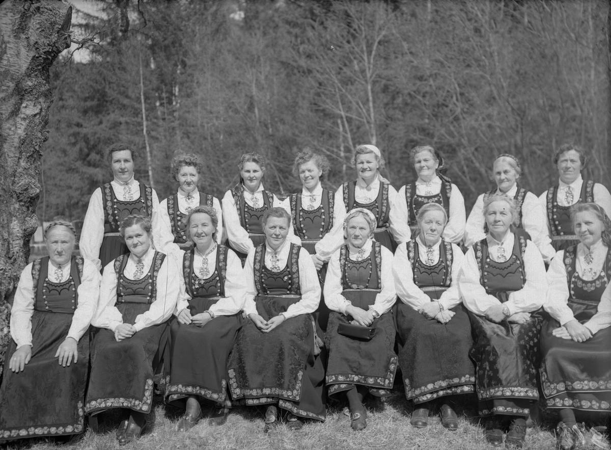 Bilde viser Austbygda Bonnekvinnelag. Alle i Tinnbunad

Fotosamling etter Øystein O. Jonsjords (1895-1968), Tinn