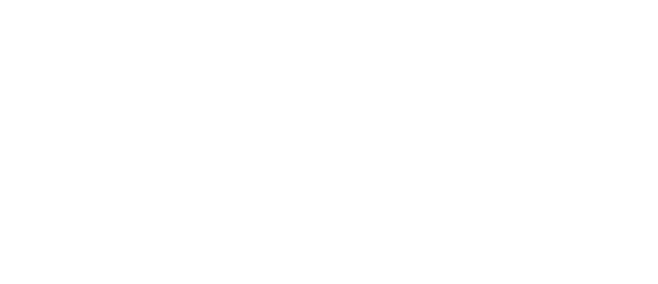 Museum vest logo
