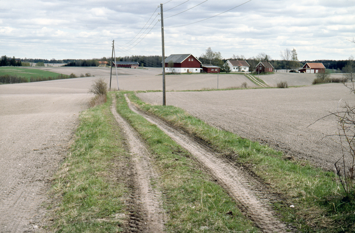 Veifar/gårdsvei ved Linnestad