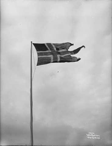 Prot: Det nye Flag 1906