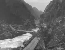 Prot: Hardanger - Veien til Laatefos Juni 1906