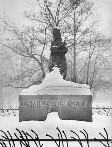 Prot: Camilla Collett snedækket