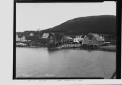Prot: Nordland - Rogsfjord