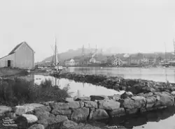 Prot: Tønsberg - Byen fra over Fjorden Sep.1902