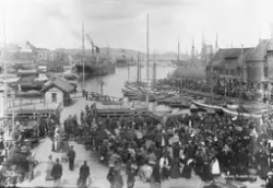 Prot: Bergen - Fiskebryggen 12. Juli 1902