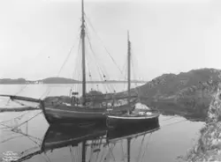 Prot: Haugesund - Fra Risøen Jagter 21. Juli 1902
