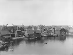 "Prot: Haugesund - Panorama av Risøen 21. Juli 1902