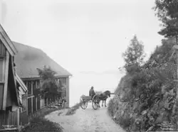 Prot: Flekkefjord - Bekkeveien med Garveriet 26. Juli 1902