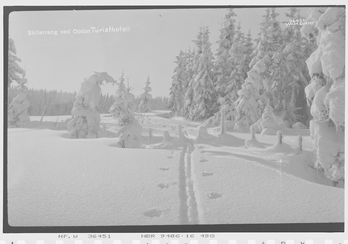 "Prot: Ved Lillehammer
Neg: Skiterreng ved Optun turisthotell"