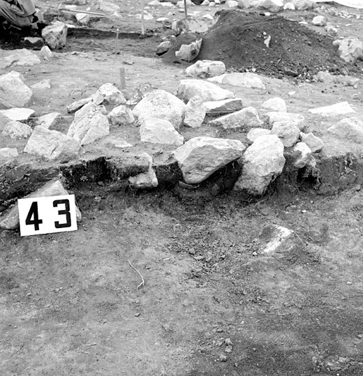 Arkeologisk undersökning p g a motorvägsbygget mellan Köping - Västerås av gravfältet vid Rallsta 1.6 - 1.9 och 20.9 - 20.10 1960 av Vlm /Henry och Eva Simonsson  (Södra delen)

Anläggning 43.