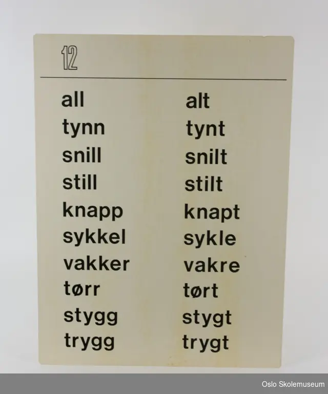 Plansje som hører til plansjeverket "Skriv rett" av Sigrun Vormeland som hører til "Steg for steg i norsk". På den ene siden er det trykket "12" og på andre siden "13". På begge sider er det trykt ord.
