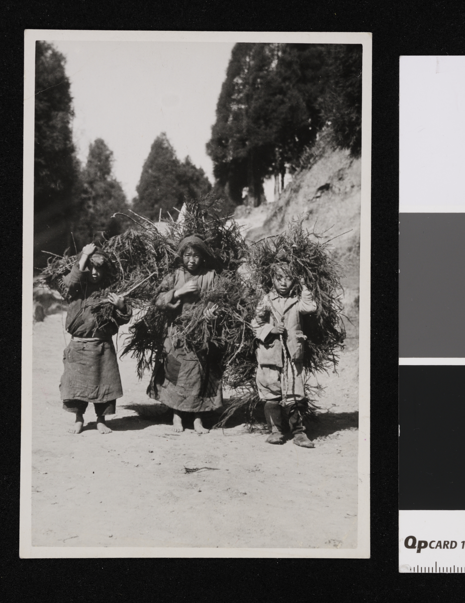Barn i Sikkim. Fotografier tatt i forbindelse med Elisabeth Meyers reise til India 1932-33.