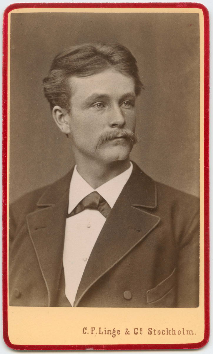 Porträtt på Johan Theodor Lundberg 1852-1926, han var skulptör, professor vid konsthögskolan och direktör för desamma år 1911.