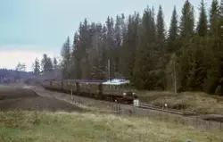 Elektrisk lokomotiv El 5 2039 med veterantog mellom Jaren og