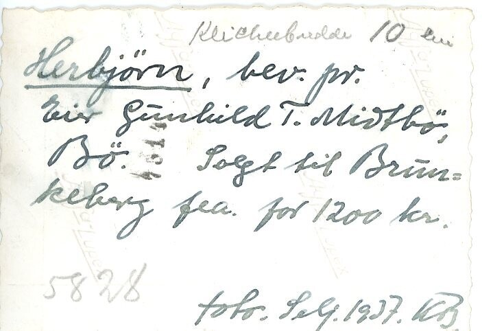 Oksen Herbjørn.  Eigar Gunnhild T. Midtbø.  Oksen vart seld til Brunkeberg for 1200 kroner.  Utstilling Seljord 1937.