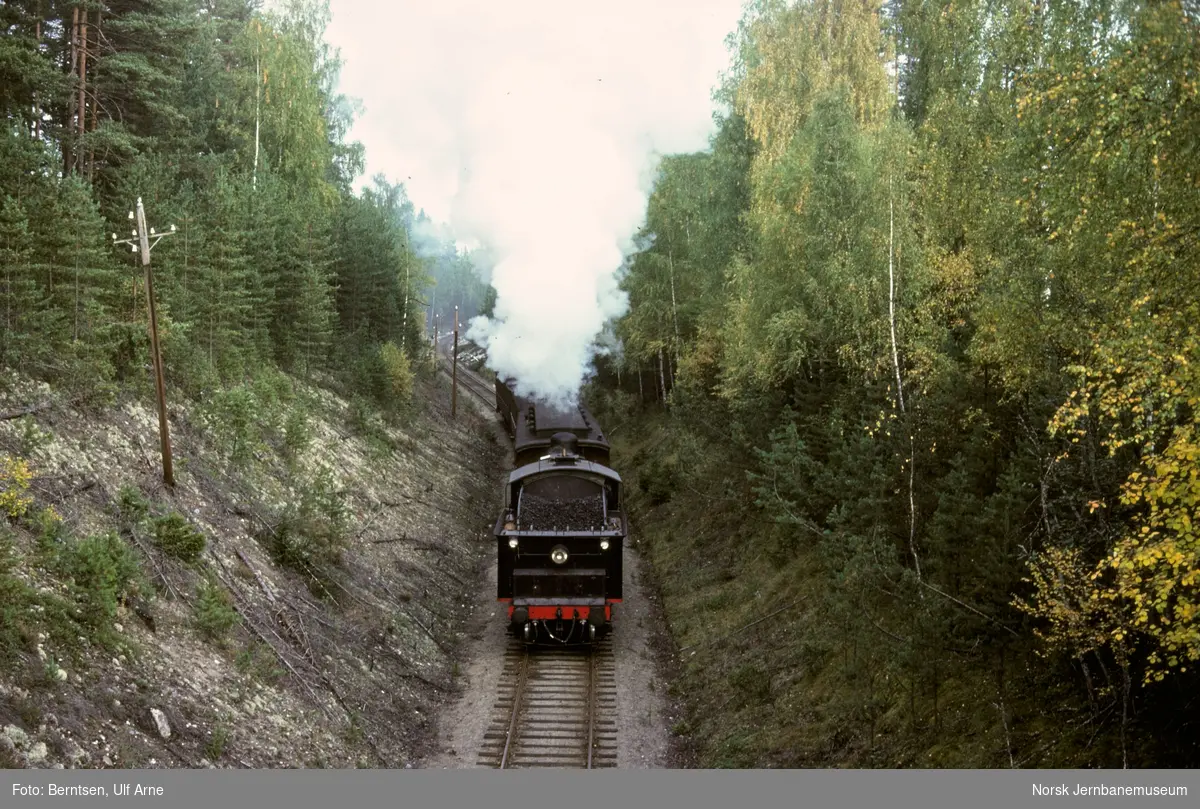 Damplokomotiv 24b nr. 236 med veterantog ved Marigård holdeplass på Randsfjordbanen