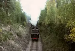 Damplokomotiv 24b nr. 236 med veterantog ved Marigård holdep