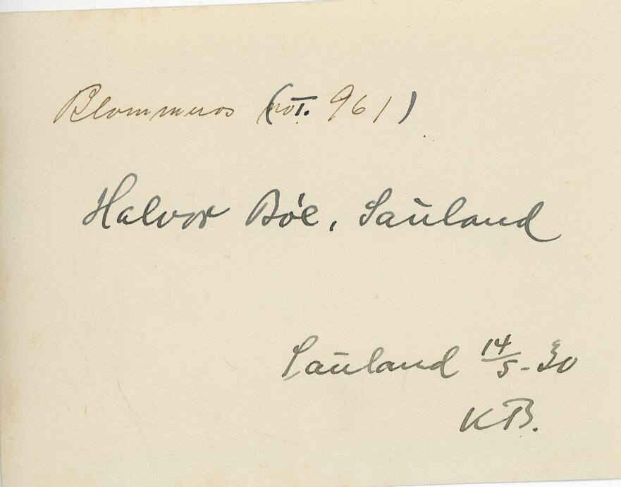 Telemarkskua Blommros. Eigar Halvor Bøe, Sauland.  14.5.1930.