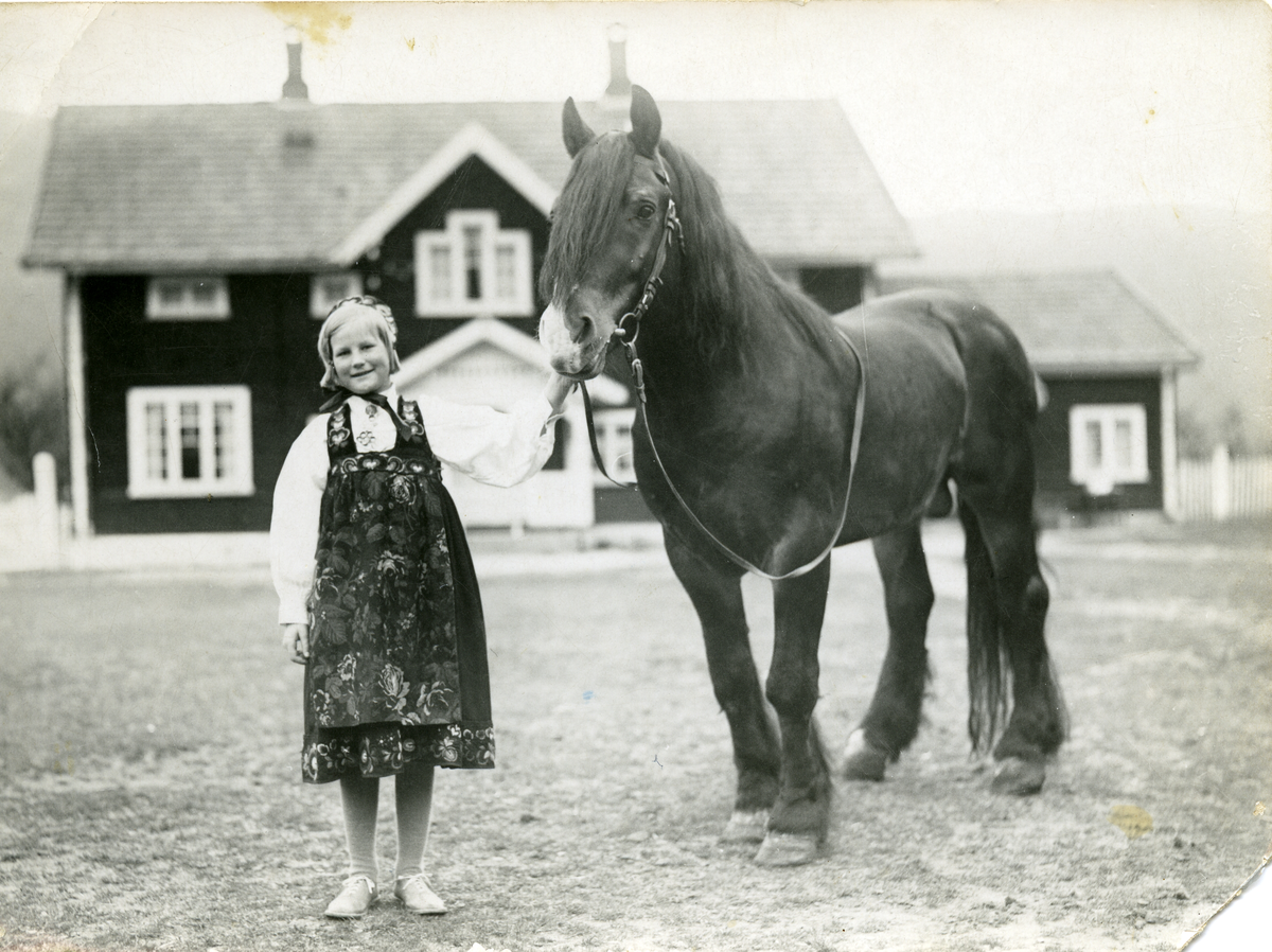 Bilde av Hallingkongens siste dag i Hagaled og Mosse Storrusten (yngste datter av Aksel)  i bunad. Hallingkongen ble slaktet hos Woll på Nesbyen i mai 1932.
