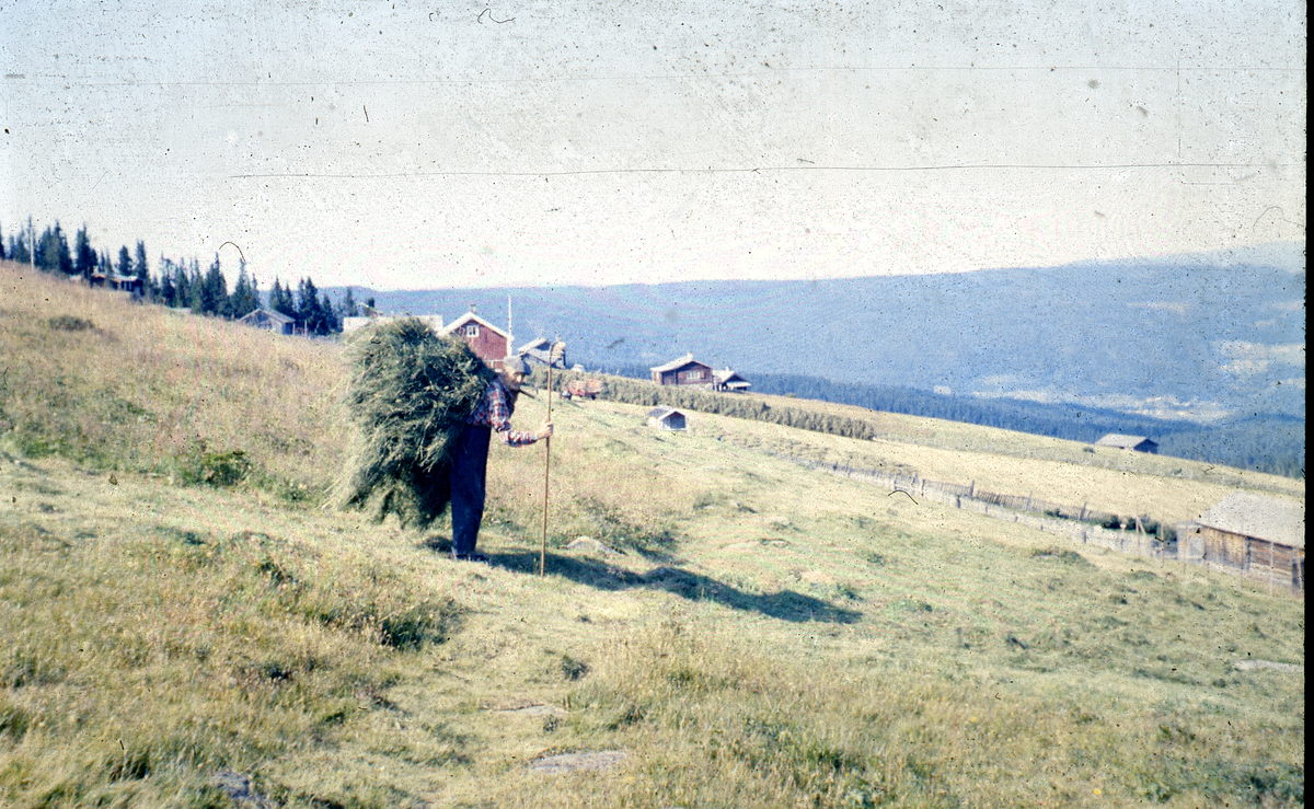 Slåttonn. Forbæring på Bøgaset. Amund Smette 1896 - 1972.
