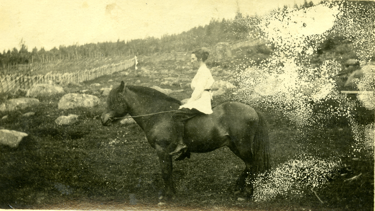 Dame til hest
Bildet er tatt i Espeset hos Lukas Espeset. (Fernanda Ytteborg? til hest).
