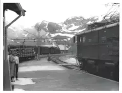 Damplokomotiv type 31b nr. 429 (bak til venstre) med dagtoge