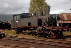 Utrangert damplokomotiv type 20b nr. 250 på Sundland i Dramm