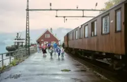 Norsk Jernbaneklubbs utfluktstog på Mæl stasjon
