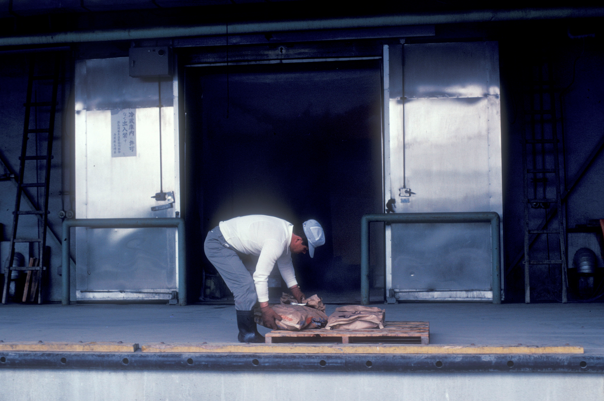Motiv fra Japantur : Mann i arbeid på lasterampe