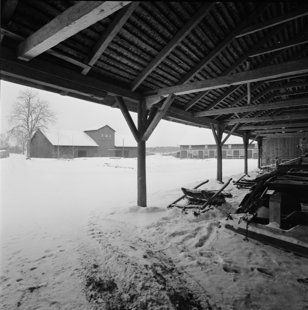 Gårdsmiljö, Alunda, Uppland februari 1958