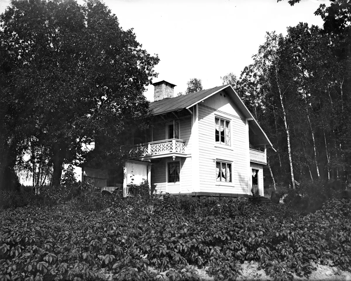 "Grosshandlare Olsons villa på Sätra äng den 16 juli 1900."
Var villan låg är idag osäkert.
Fotograf var troligen en Axel Pehrson som bodde i "Sjöstugan" vid Sätra äng.