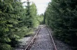Gjengrodd spor mellom Reinsvoll og Bøverbru på nedlagte Skre