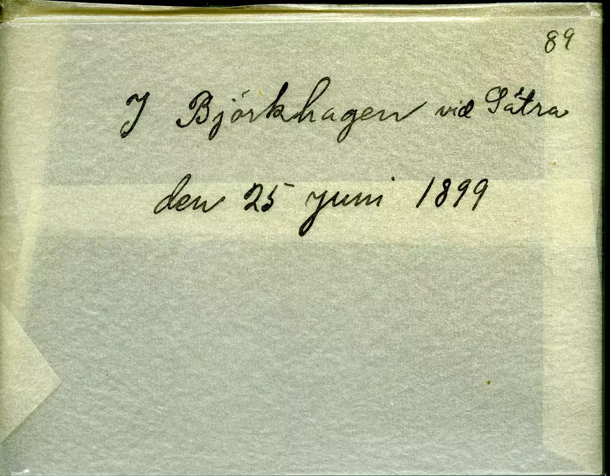 "I Björkhagen vid Sätra den 25 juni 1899".
Fotot troligen taget av Axel Pehrson, sommargäst vid Sjöstugan, Sätra äng.