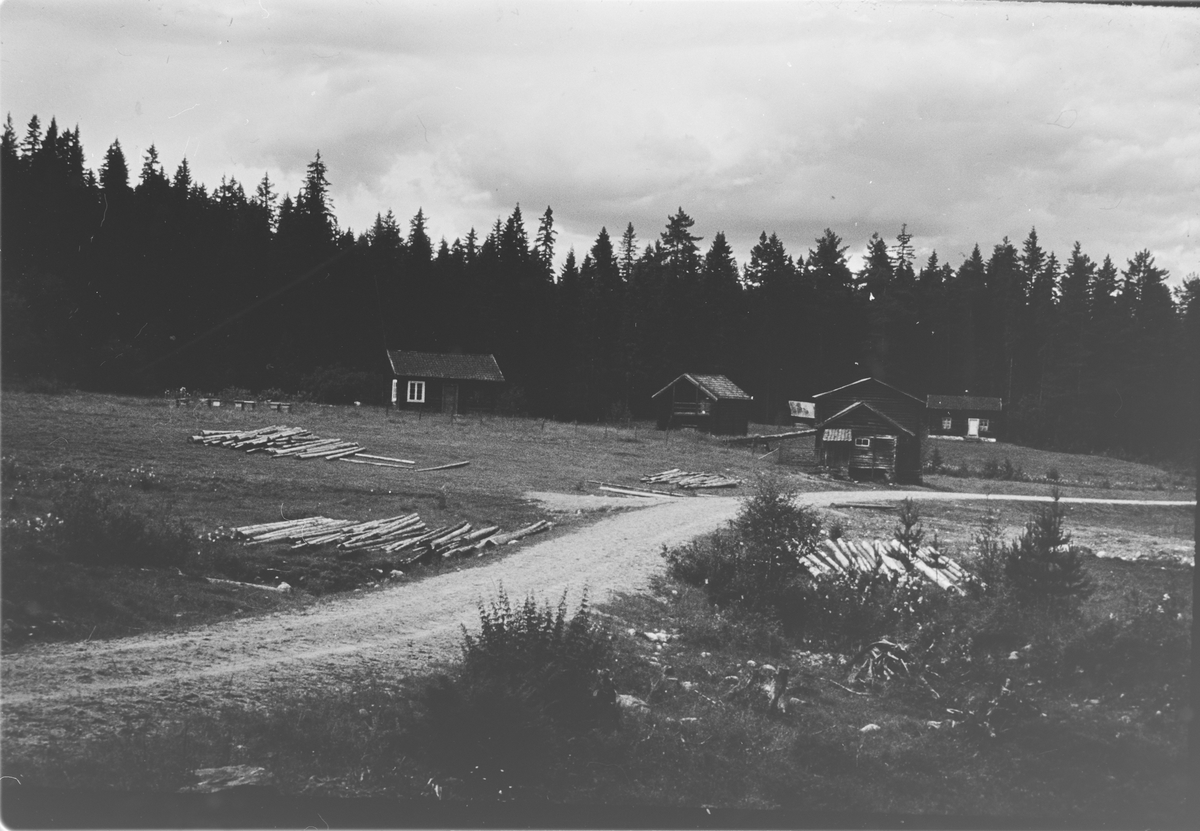 Husmannsplassen Dalen under Eikje, 1968.