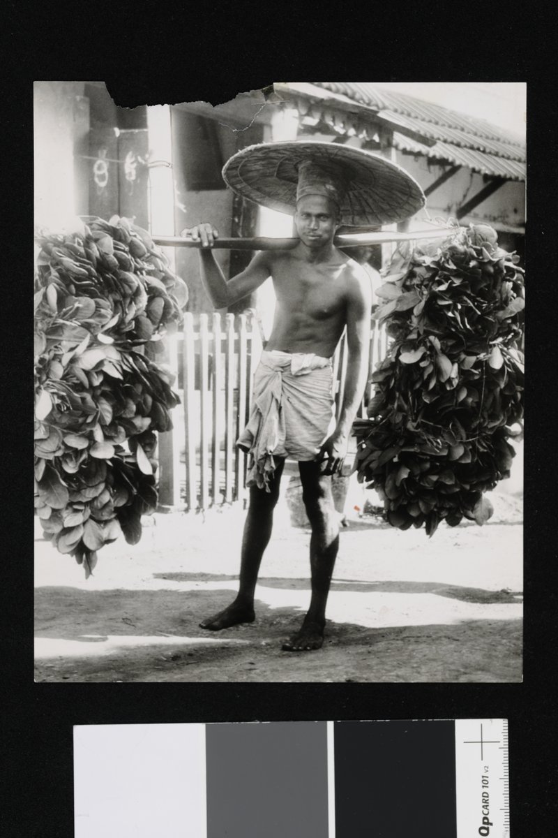 En kjøpmann med betelblader. Fotografi tatt i forbindelse med Elisabeth Meyers reise til India 1932-33.