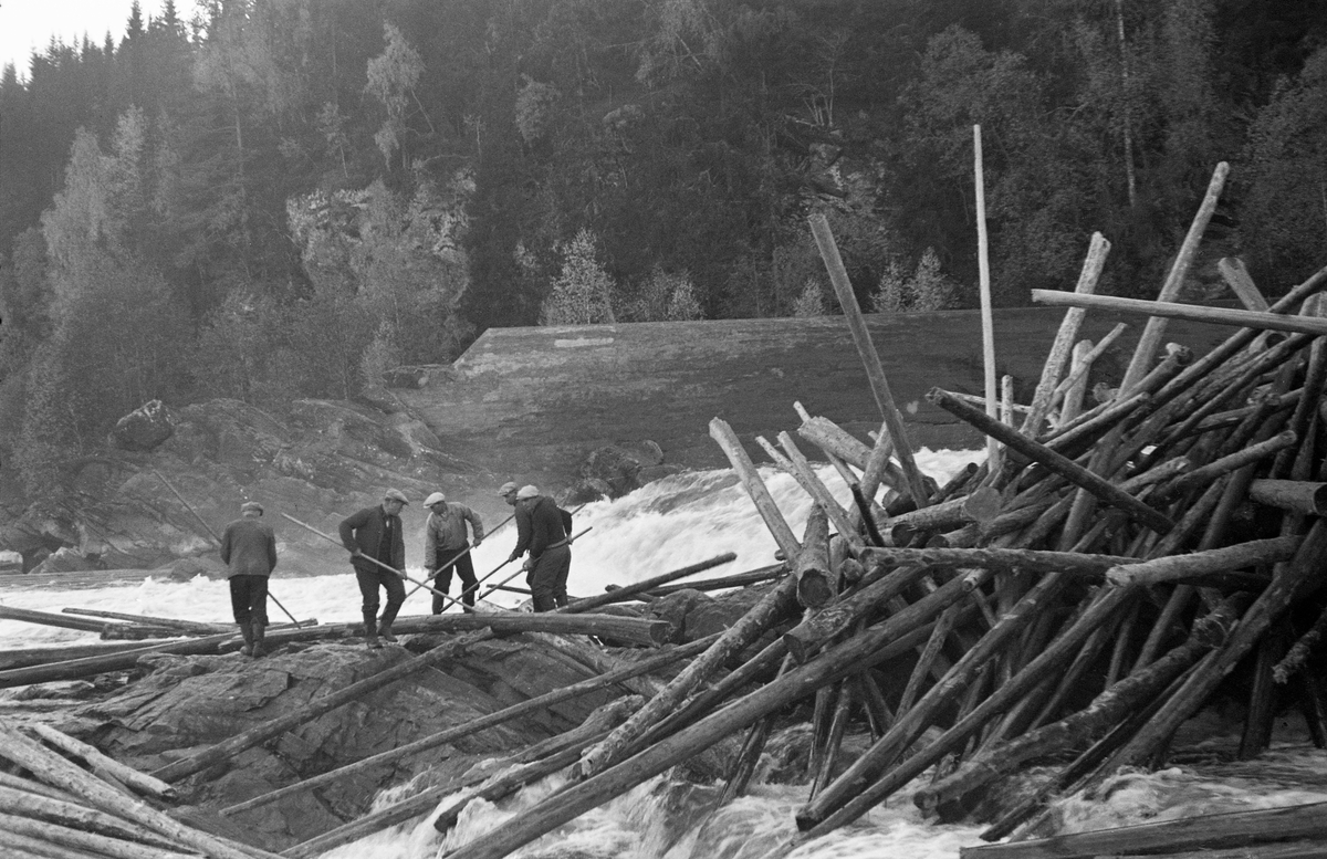 Fem fløtere i arbeid med å løsne tømmerhaugen som hadde bygd seg opp i Glomma under kraftverksdammen ved Kykkelsrud, på grensa mellom Askim og Spydeberg kommuner, høsten 1937. På dette fotografiet ser vi fire fløtere i arbeid med haker ved en tømmerhaug på et steinskjær i fossen, Høsten 1937 lå det en diger tømmerhaug som på et tidspunkt sperret hele elveløpet nedenfor Kykkelsruddammen. Det ble antydet at det dreide seg om 5 – 6 000 tylfter – kanskje 60-70 000 tømmerstokker. Da dette var på det verste, før dette fotografiet ble tatt, kunne en gå tørrskodd på tømmer fra den ene elvebredden til den andre. Dette hadde skjedd også to år tidligere, i 1935. Glomma fellesfløtingsforening satte inn 40 mann, de fleste lensearbeidere fra Skiptvet, for å få løsnet tømmeret. Tømmerhaugen bygde seg opp i en periode da det var liten vannføring i elva. Tilsiget til Kykkelsruddammen ble anslått til 300 kubikkmeter i sekundet, hvorav to tredeler gikk til kraftstasjonen. Fløterne ønsket seg mer vann. Dette forsøkte man å ordne ved å ofre noe av det vannet som var samlet i den ovenforliggende Solbergfossdammen. Det siste førte imidlertid til at mer tømmer satte seg fast. Bruk av dynamitt var man i utgangspunktet skeptiske til på dette stedet. Eksplosiver kunne utsette hengebrua over elva og mastene som førte elektrisiteten vekk fra kraftverket for fare, samtidig som det helt sikkert ville ødelagt mye tømmer. Likevel ble det brukt litt dynamitt. Det tok om lag to uker å få revet haugen. De store tømmerhaugene ved Kykkelsrud i 1935 og 1937 aktualiserte planene om å bygge ny dam ved denne kraftstasjonen, noe som ble realisert i perioden 1939-1941.