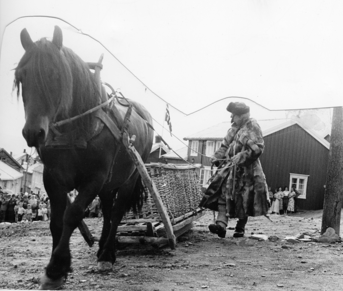 Kølkjører under det historiske opptoget på Bergmannsdagen, ant. i 1951. Hest med slae og kølkorg, og "kølkjører" i mudd