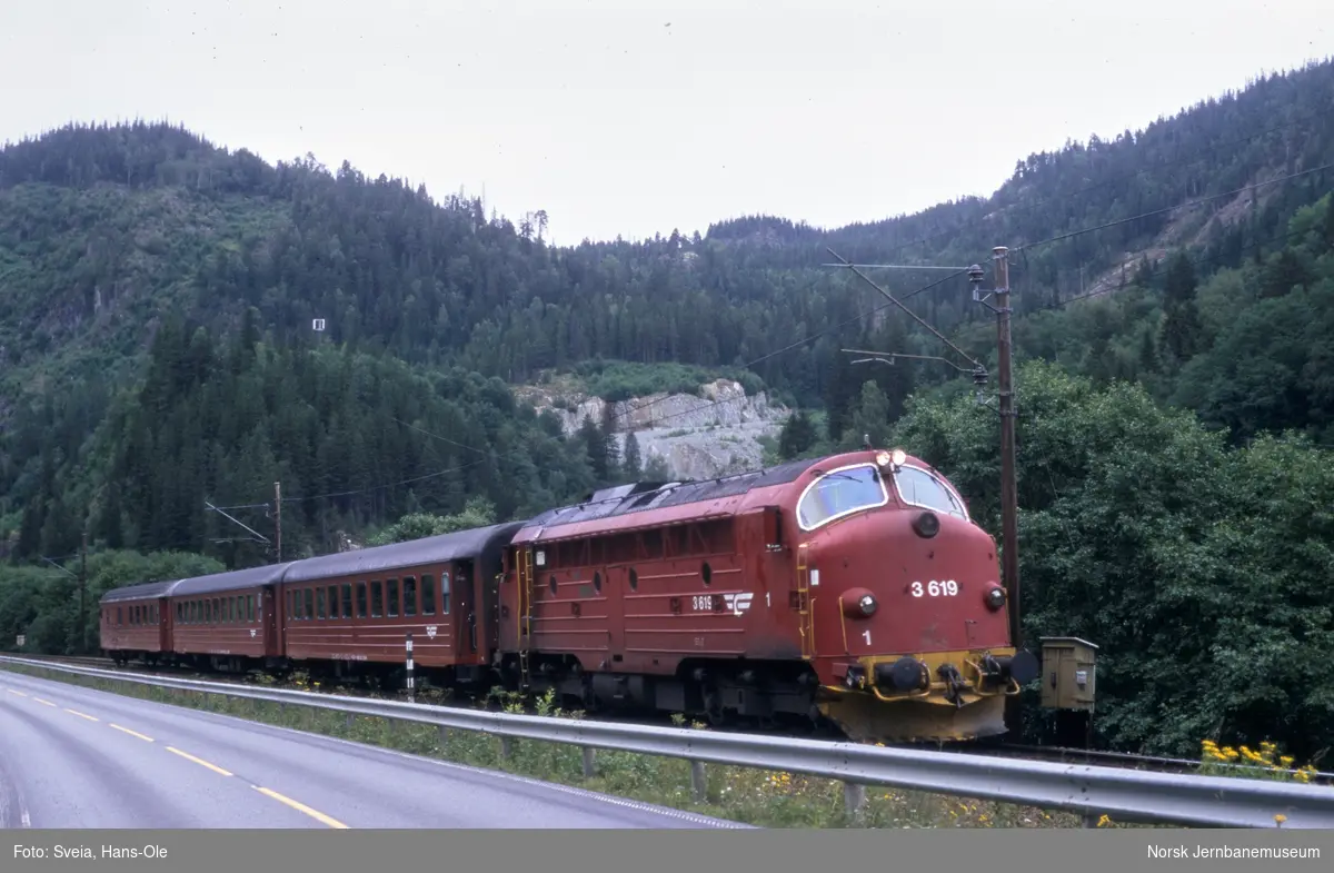 Diesellokomotiv  Di 3 619 med persontog Trondheim til Dombås tog 408, like nord for Støren stasjon