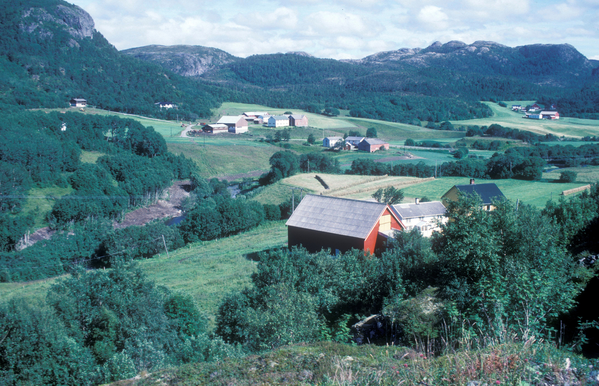 Tex-Fisk, Bjugn 1986 : Prospektbilde, landskap og gårdsbygninger.