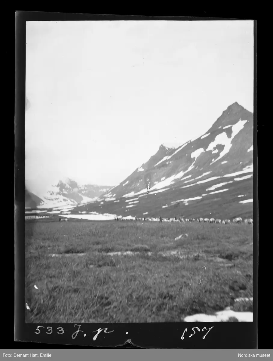 Människor och renar vilar under vårflyttningen från Närvä. I bakgrunden fjälltoppar. Bilden ingår i en serie fotografier tagna av Emilie Demant Hatt i Sapmi mellan åren 1907 och 1916.