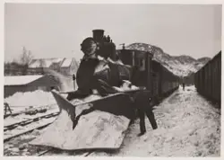 Damplokomotiv type XXIII med stor frontplog med persontog på