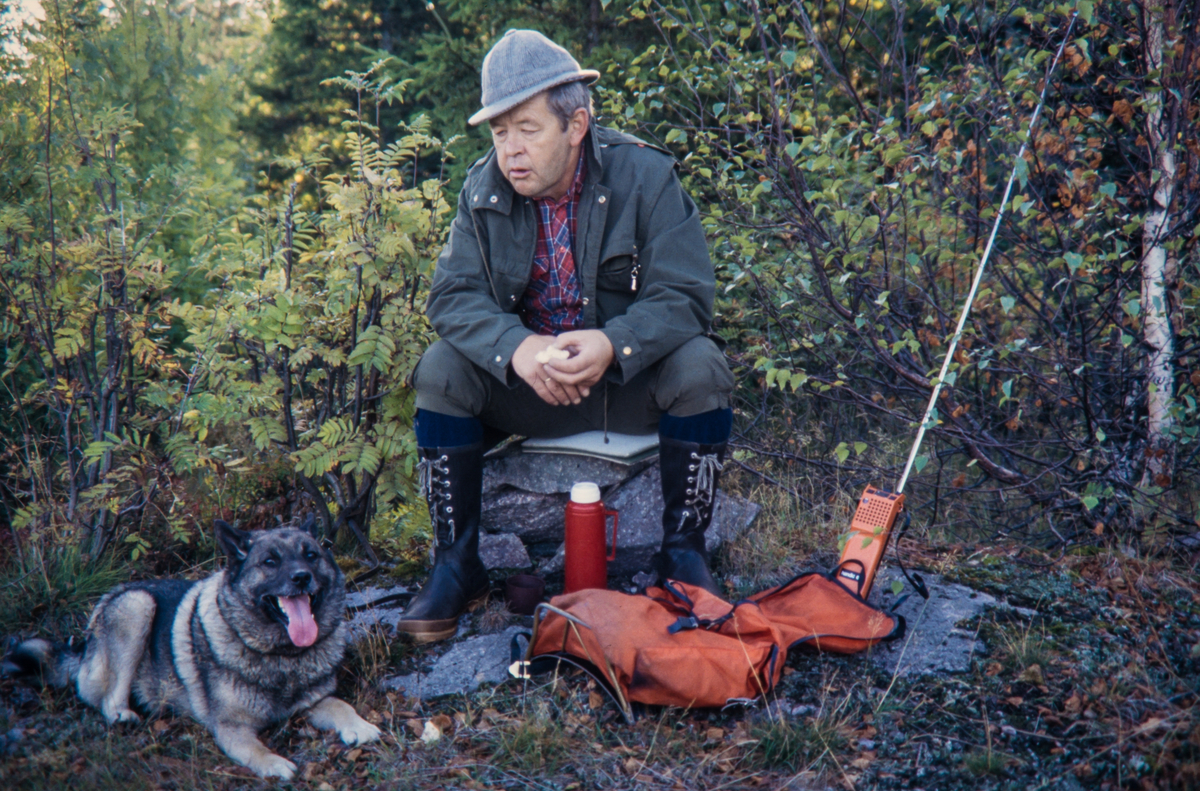 Sigurd Granåsen på elgpost på Gravdalsskogen med hunden Rusken.