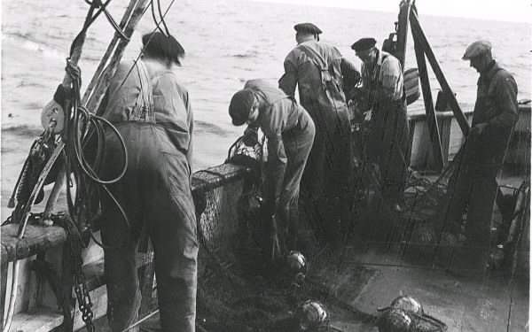 Fiske till havs i fiskebåt med fiskare i olika arbetsmoment på båten. Uppgifter saknas. Tillhör samlingen med fotokopior från Hallands Nyheter som är från 1930-1940-talen.