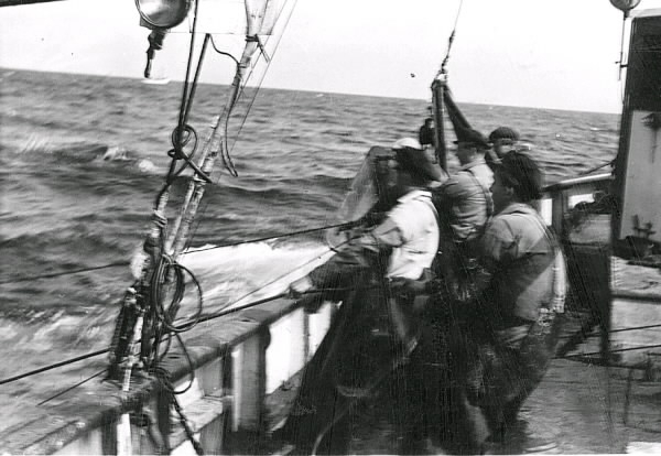 Fiske till havs i fiskebåt med fiskare i olika arbetsmoment på båten. Uppgifter saknas. Tillhör samlingen med fotokopior från Hallands Nyheter som är från 1930-1940-talen.