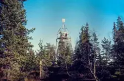 Tårn på Reineskauen, Hajern