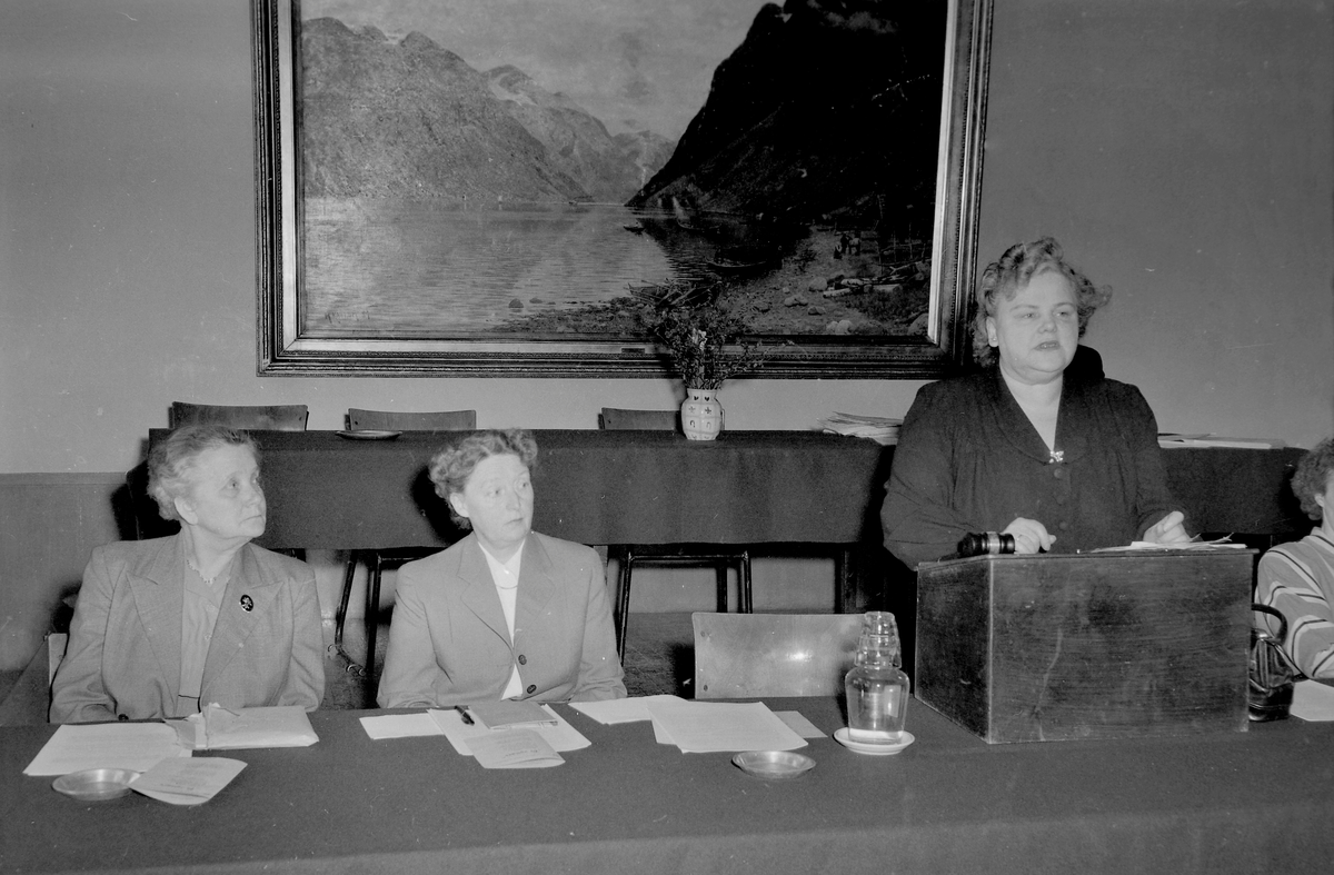 Sør-Trøndelag arbeiderparti. Kvinneutvalget, årsmøte 1954